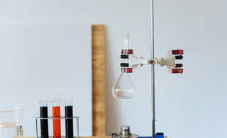 Maintaining Oral Health: Nurturing Cells at the Root