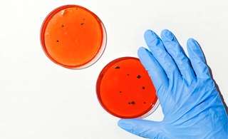 The Mystery of Oral Health: Scientific Analysis of Cell Renewal and Anti-Oral Aging