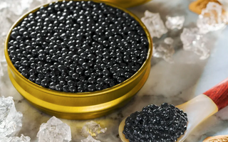 Oral Health: Maintenance and Protection