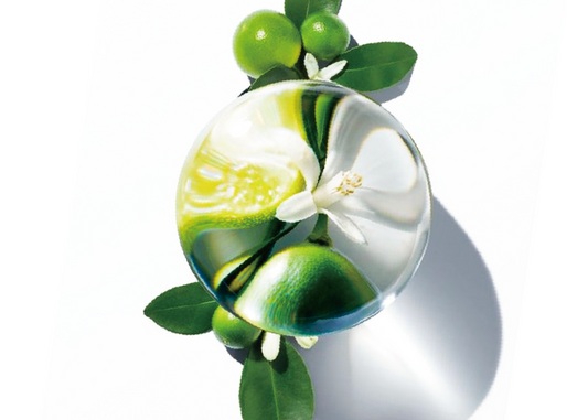 what are fruit acids