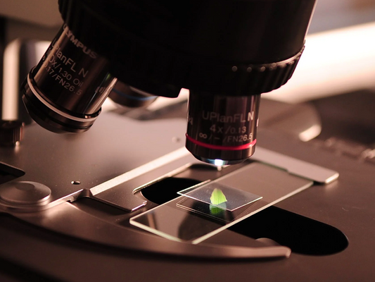 Oral Cell Renewal Technology in Next-Generation Toothpaste