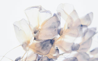 Protecting Dental Health: Starting with Enamel