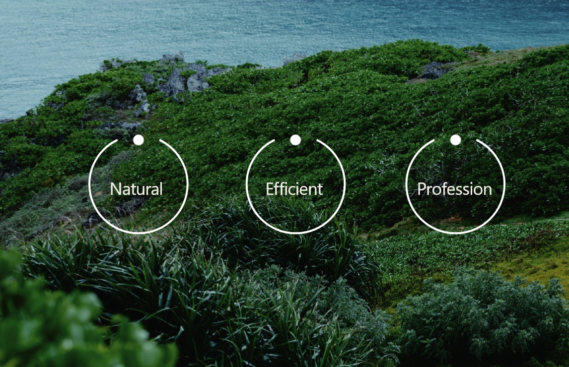 Brand Philosophy natural efficient profession