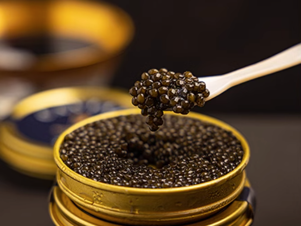 The Scientific Mystery of Caviar Extract in Toothpaste