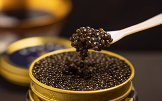 The Scientific Mystery of Caviar Extract in Toothpaste