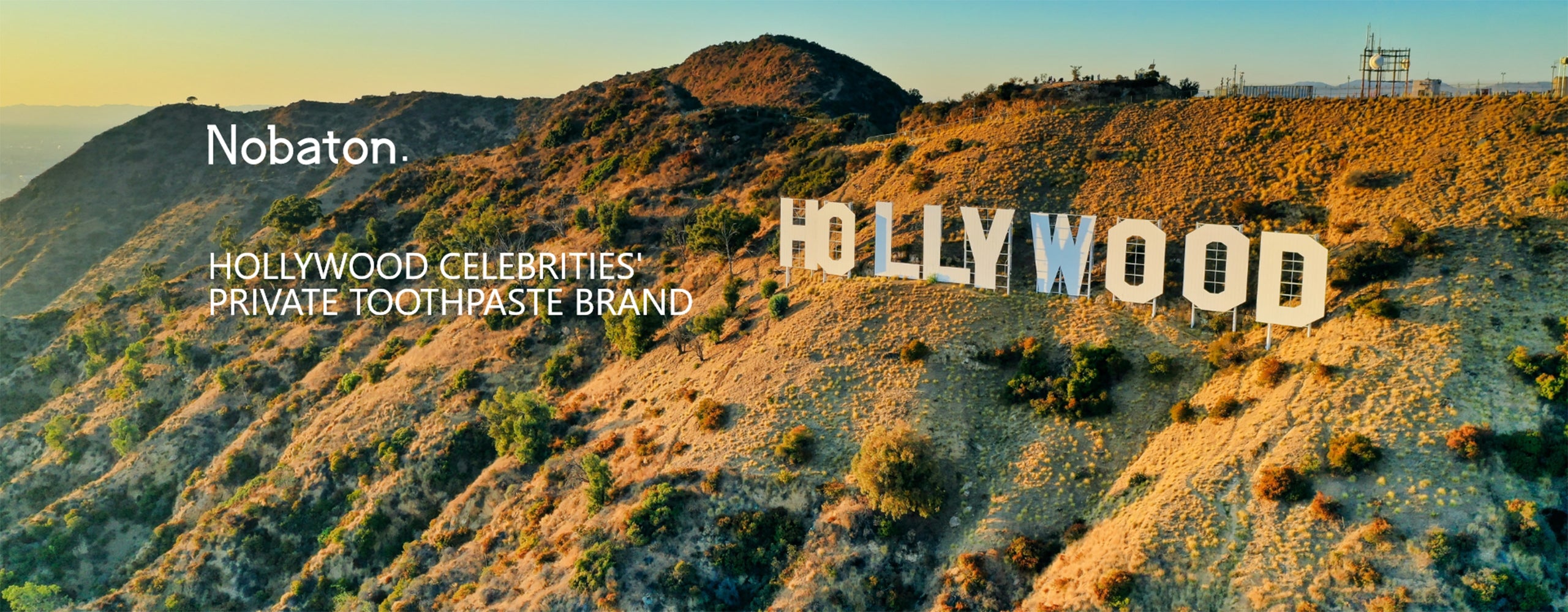 hollywood celebrities' private toothpaste brand