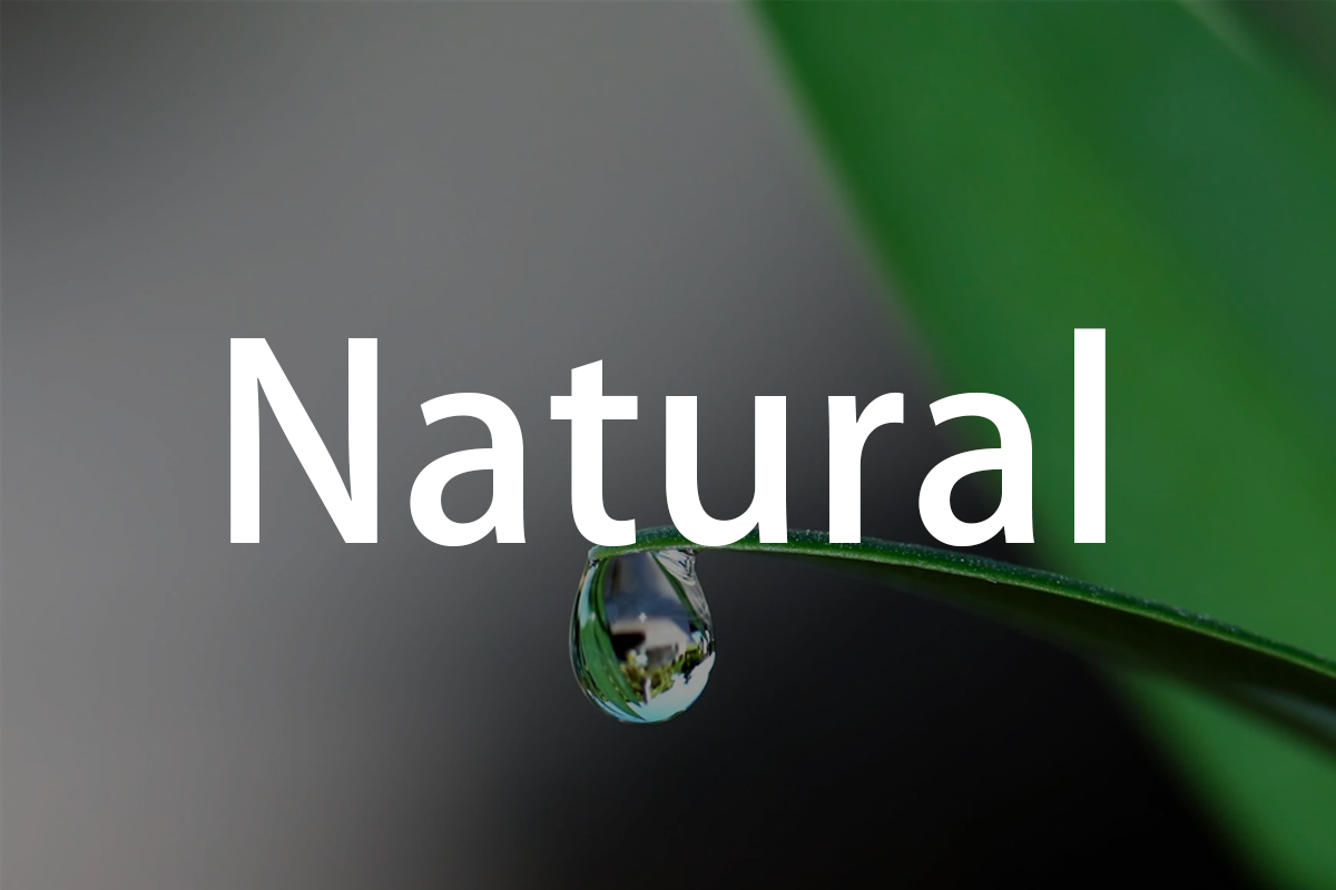 Hollywood Star's Private Toothpaste Brand – nobaton